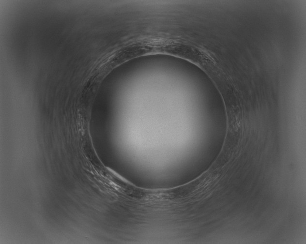 X0000053001253200507081224