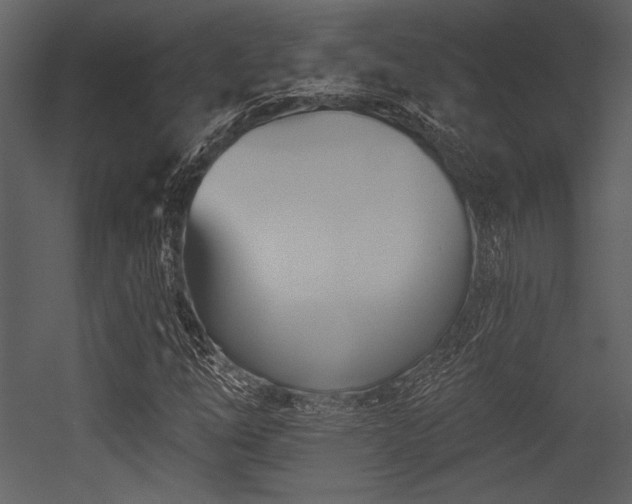X0000053001254200507081224
