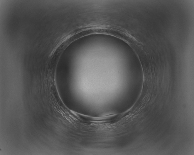 X0000053001255200507081224