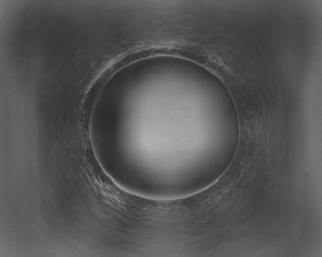 X0000053001256200507081224
