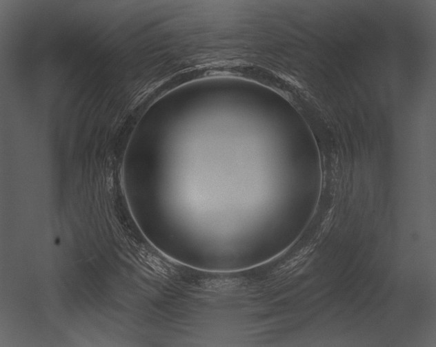 X0000053001257200507081224