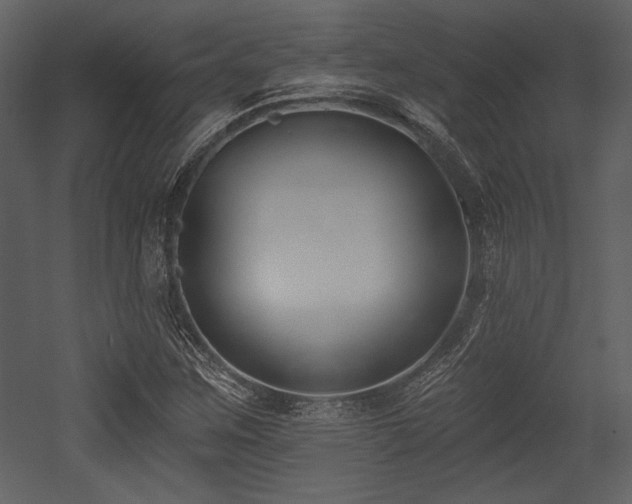 X0000053001259200507081224