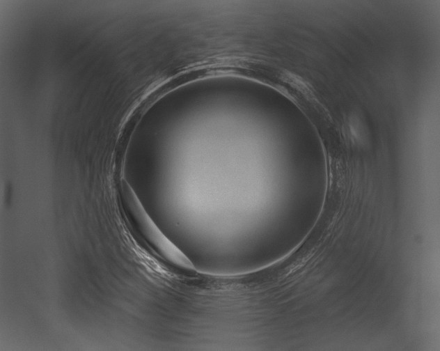 X0000053001260200507081224