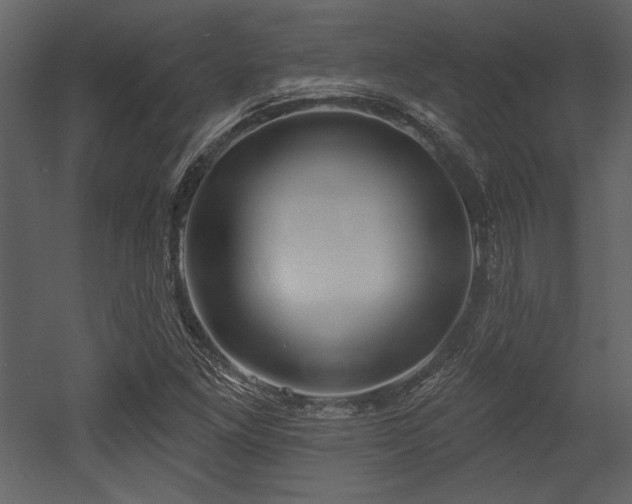 X0000053001261200507081224