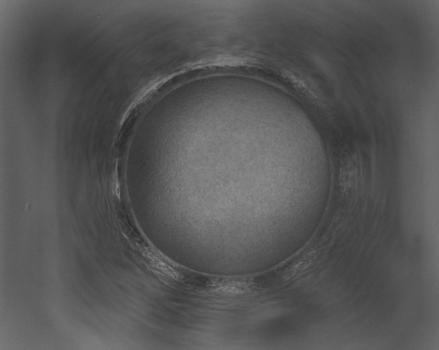 X0000053001262200507081224