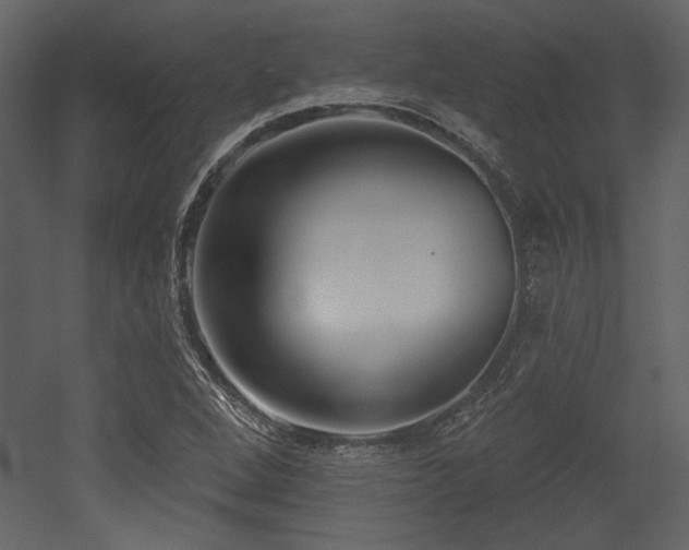 X0000053001264200507081224
