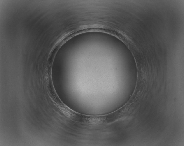 X0000053001266200507081224