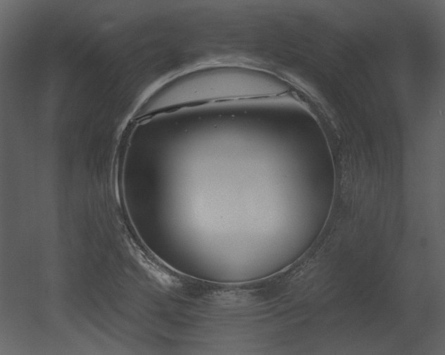 X0000053001272200507081224