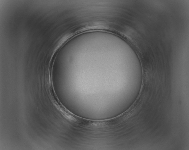 X0000053001274200507081224
