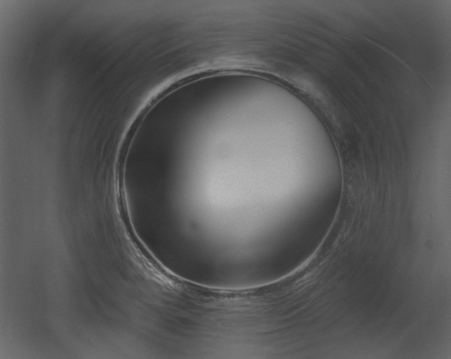 X0000053001280200507081224