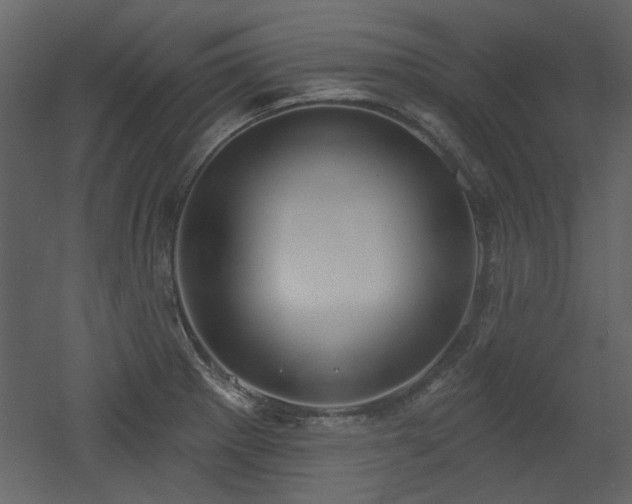 X0000053001281200507081224