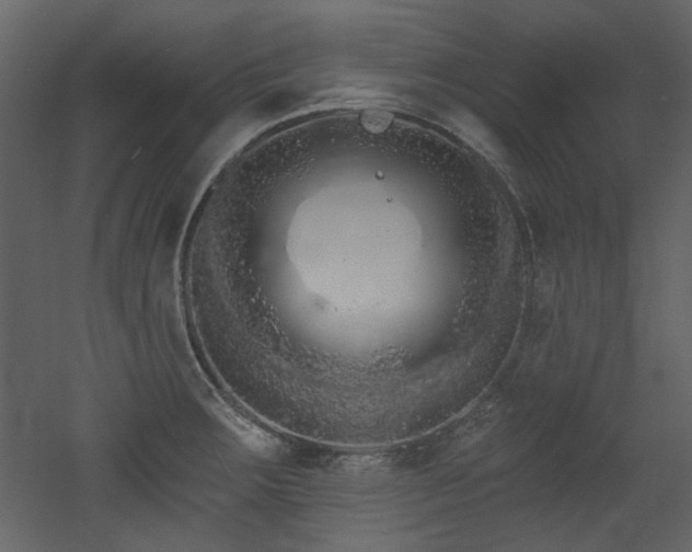 X0000053001283200507081224
