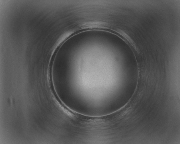 X0000053001285200507081224