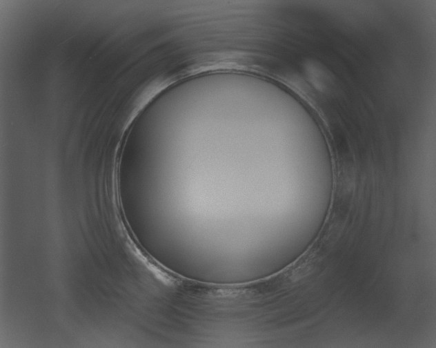 X0000053001290200507081223