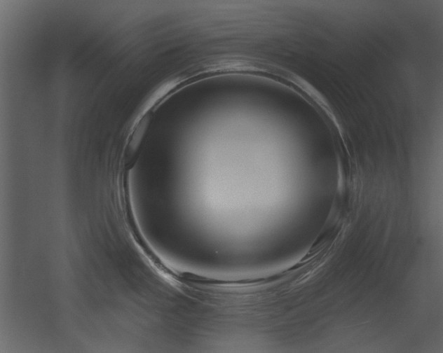 X0000053001293200507081223