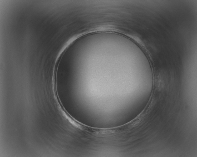 X0000053001294200507081223