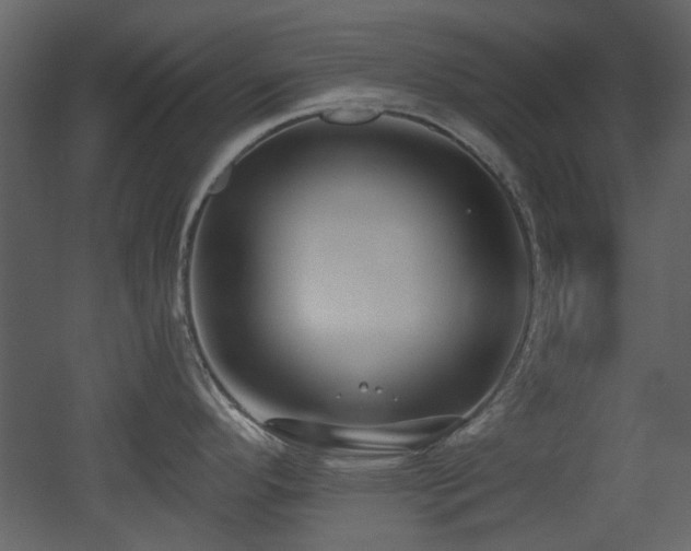 X0000053001296200507081223