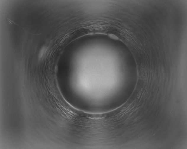 X0000053001297200507081223