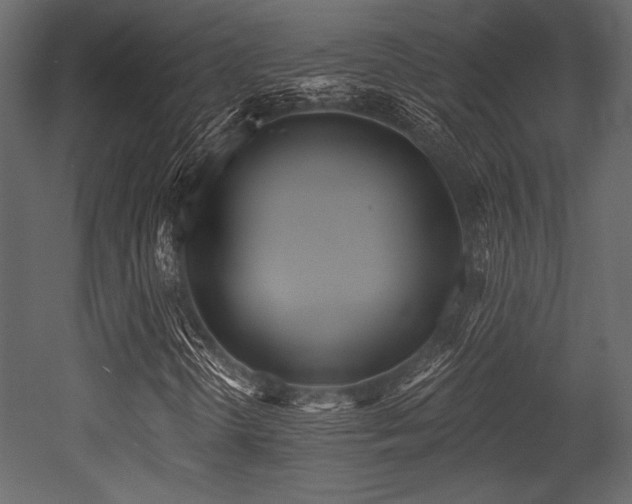 X0000053001298200507081223