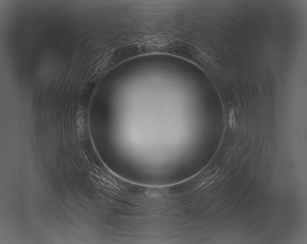 X0000053001299200507081223