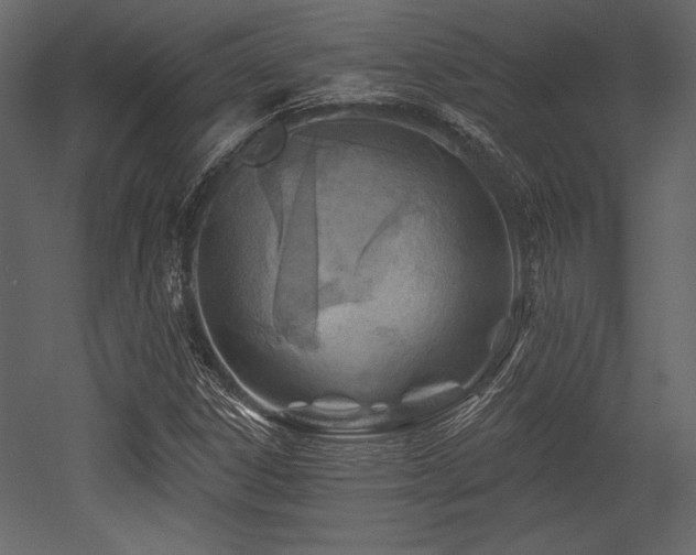 X0000053001306200507081223
