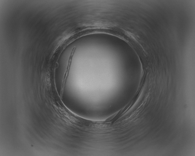 X0000053001307200507081223