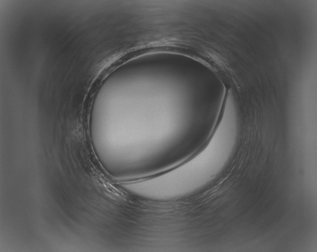 X0000053001308200507081223