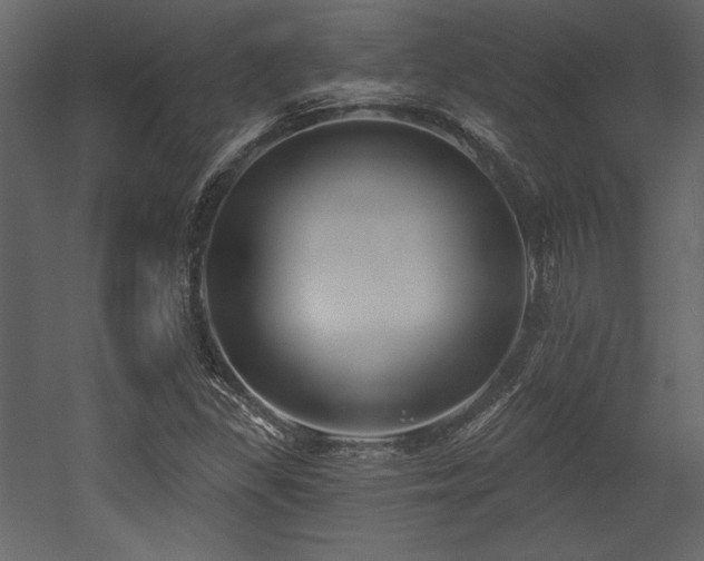 X0000053001309200507081223