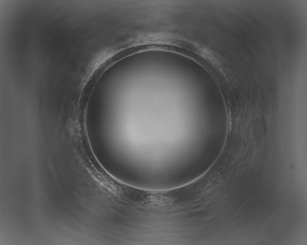 X0000053001312200507081223