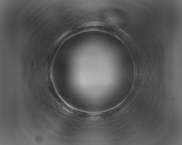 X0000053001313200507081223
