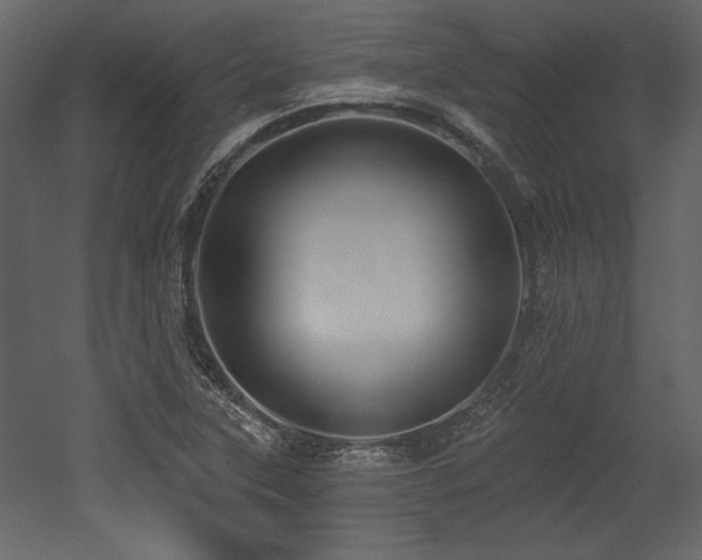 X0000053001315200507081223