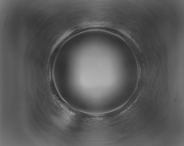 X0000053001317200507081223