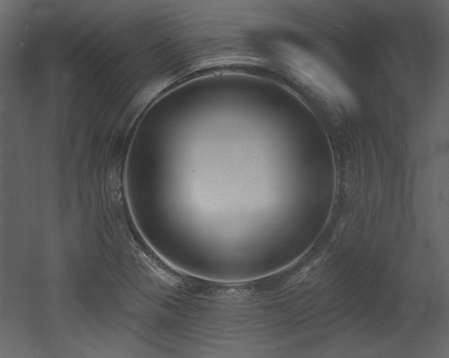 X0000053001321200507081223