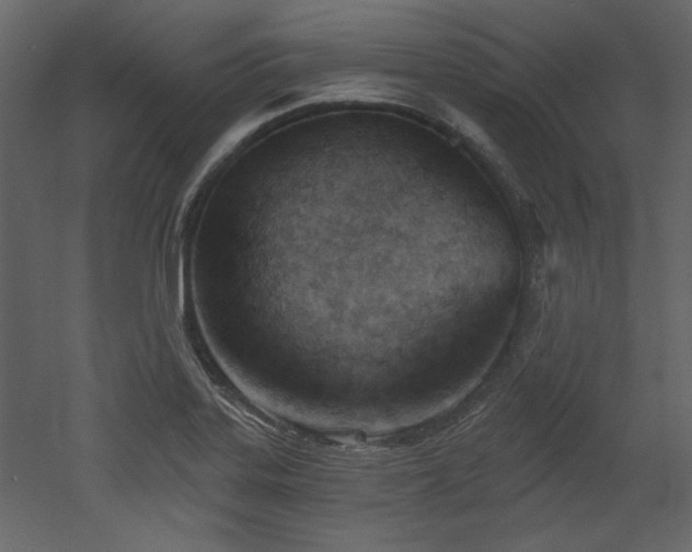 X0000053001323200507081223