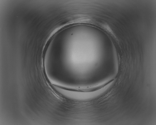 X0000053001324200507081223