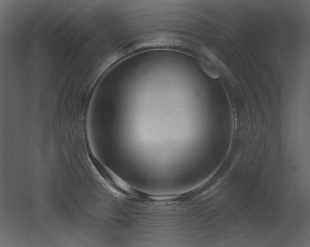 X0000053001329200507081223