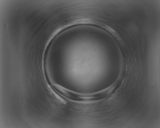 X0000053001334200507081223