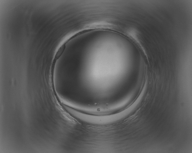 X0000053001336200507081223