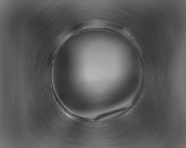 X0000053001337200507081223