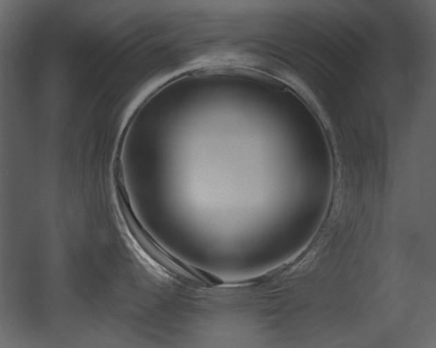 X0000053001344200507081223