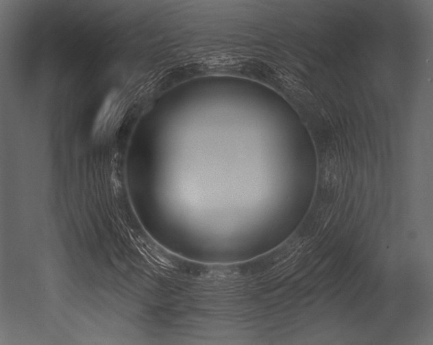 X0000053001346200507081222