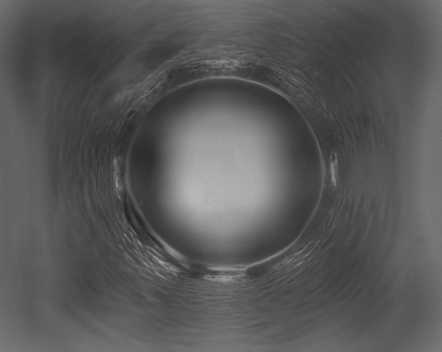X0000053001347200507081222