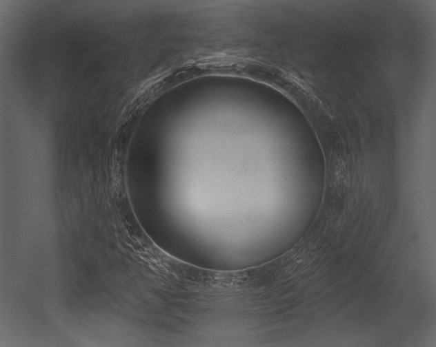X0000053001350200507081222