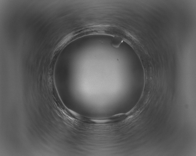 X0000053001354200507081222