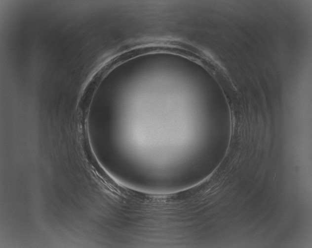 X0000053001360200507081222