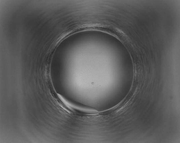 X0000053001361200507081222