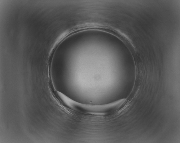 X0000053001365200507081222
