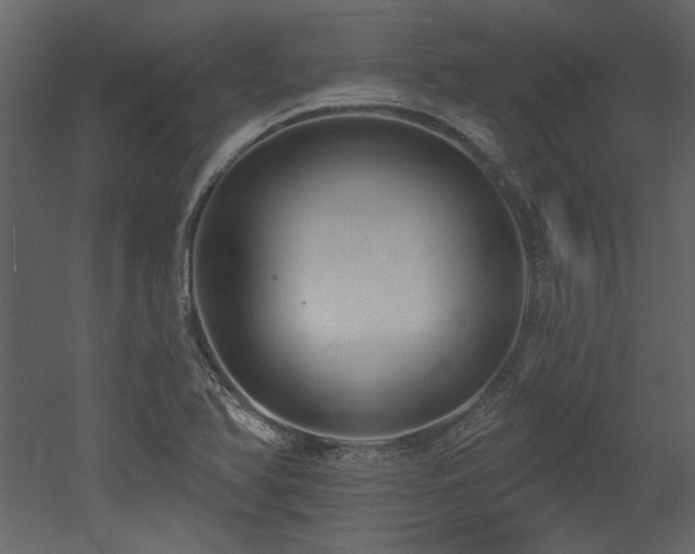 X0000053001366200507081222