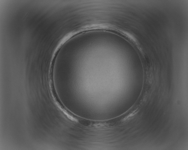 X0000053001373200507081222