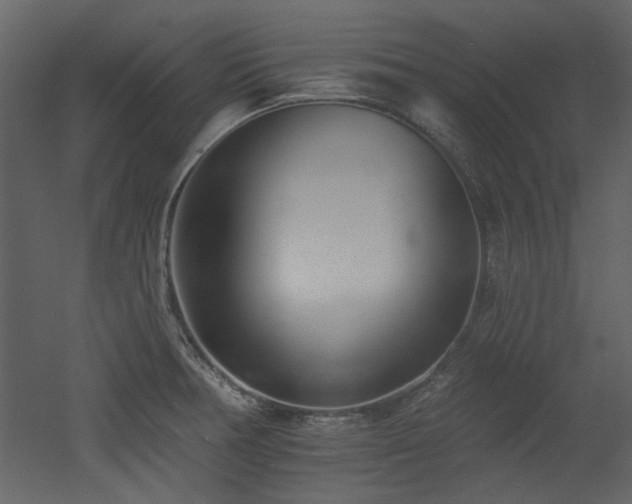 X0000053001378200507081222